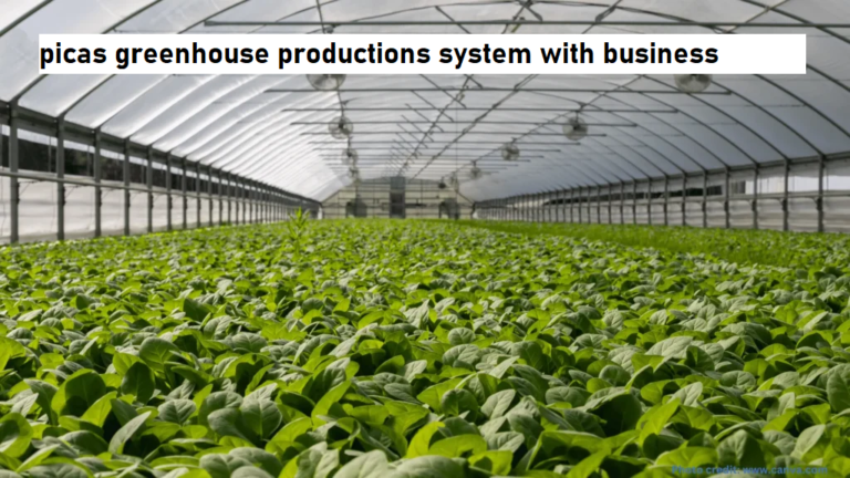 picas greenhouse productions system with business central